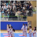 미르태권도장 이미지