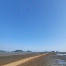 바다랑포도펜션 이미지