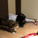 오씨주택 | 6번째 제주:: 에어비앤비 제주 2층 독채 “오씨주택" 후기,가격