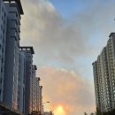 대구 함지산 불!! 괜찮으신지요 이미지