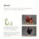 영농조합법인 행복한 타조농장 이미지