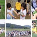 용소막농장 이미지