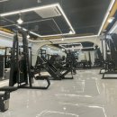 모션업피티 이미지