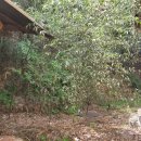 화양읍사무소 이미지