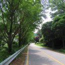 기산사箕山祠 Daum카페