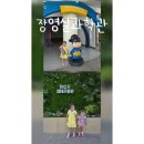 장영실로 | 아산시 아이랑 장영실과학관,4D관람, 생태곤충원 미디어전시관 후기