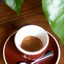 [Choi Espresso Coffee 제공 오늘의 커피] 엘살바도르 산미구엘 파카마라 C.O.E” “콜롬비아 티타리토 라스 골론 드리나스 C.O.E”를 혼합한 에스프레소 이미지