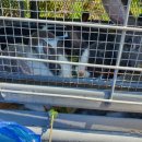 금광셀프세차장 이미지