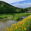 문릿(Moonlit) 이미지