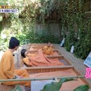 힐빙투어