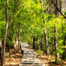 독상성 서문주차장 (세마대) | 독산성 보적사 세마대 독산성 산림욕장 둘레길 주차는 독산성 서문 공영주차장