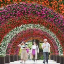 힐링 생활 꽃장식 이미지