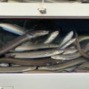 국동장어탕거리 이미지