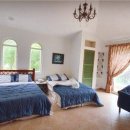 한스펫살롱 이미지