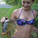 (주)보우 이미지