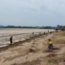 표선리-11 이미지