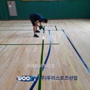 노일초등학교 이미지