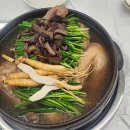 고성인삼