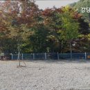 강당골캠핑파크 이미지