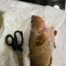 오스프리호 이미지