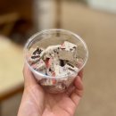 임학역 | 임학역 카페 ㅣ 디저트가 맛있는 카페공드림 방문후기