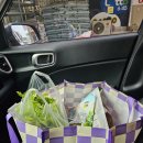 현대농약사 이미지