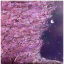 드로잉(야간) 이미지