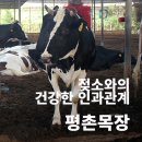 평촌목장 이미지