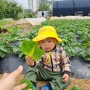 은호농장 이미지