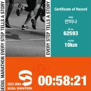 (주)유림테크 | 2025 MBN서울마라톤 10K 후기