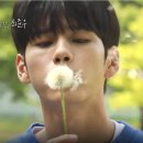 NAVER TV - JTBC Voyage "세상 설레는 준우의 만찢♥비주얼 (민들레와 찰떡) #열여덟의_순간 #" 이미지