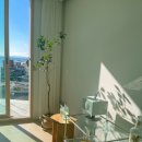 하저스테이 이미지