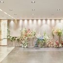 디엘사이언스 이미지