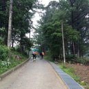 15' 6.20~21 [태백산] 우중 백패킹 - 몸과 마음에 강렬하게 남은 나의 첫 경험!