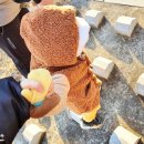 팽성레포츠공원 축구장 이미지