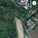 영월 금호정 이미지