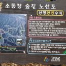 진부령양만장 네이버블로그