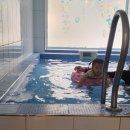 두바이애견풀빌라2 이미지