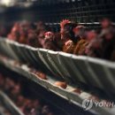 지현농장 이미지