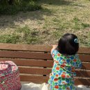 꼬미ㆍ꾸미 | 0세아기 양말 추천 꼬미싹 던스 료꾸미 자라 조합 추천