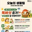 오늘의 생활 팁 - 독버섯 증가! 주의해야 할 야생버섯은? 이미지