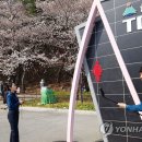 벚꽃 공중화장실 이미지