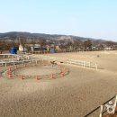 레이크밸리승마클럽 이미지