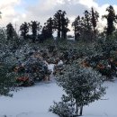 원하우스펜션 이미지