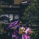 여주-0141 이미지