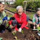 100세동안 춘천점 네이버블로그