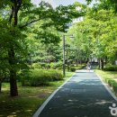 화정중앙공원 티스토리