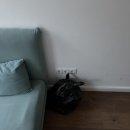 Wien(빈)음악학원 | 2026 Europe | Wien