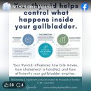 갑상선 질환자는 137% 담석증(gallbladder) 유발율이 더 높다. 이미지