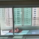 보성2차 아파트 이미지